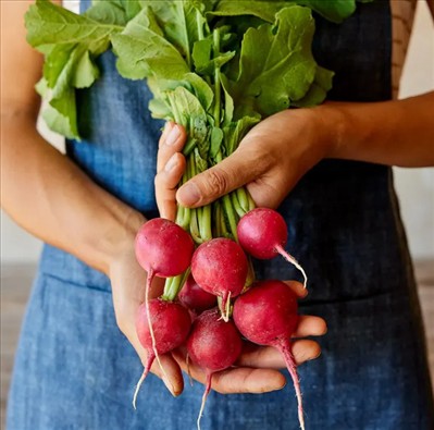 0130_20260111_1227_Fabuloso Radish Seeds.jpg